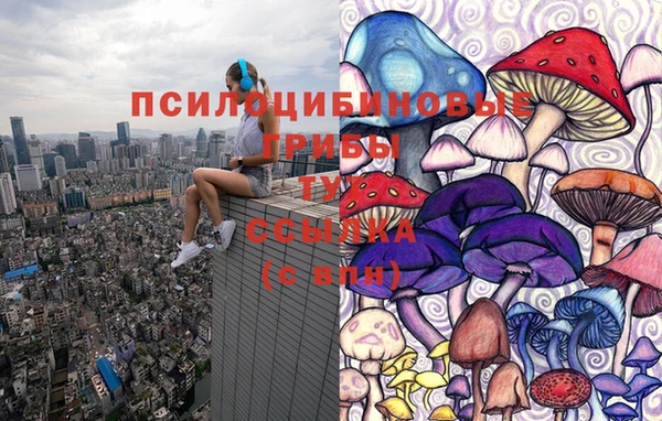 мескалин Бронницы