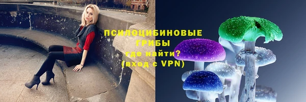 стаф Богородицк