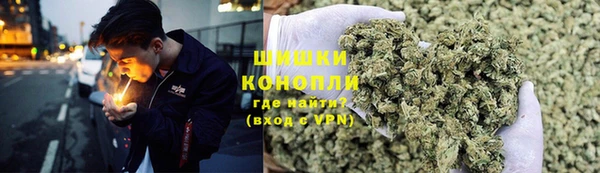 стаф Богородицк