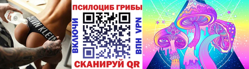 закладка  Берёзовка  Галлюциногенные грибы Psilocybe 